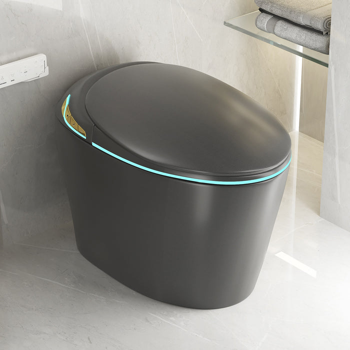 Unique Smart Toile, One Piece Toilet with Bidet Built In,Auto Open/Close Seat, Foot Sensor, LED Display,Night Light, Warm Water & Dryer,Grey